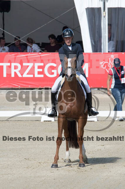 FEI European Championship Eventing 2017