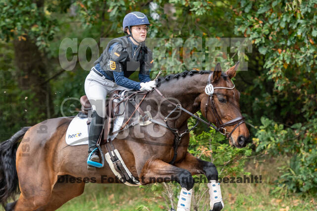 Goldene Schärpe 2020 - Pferde