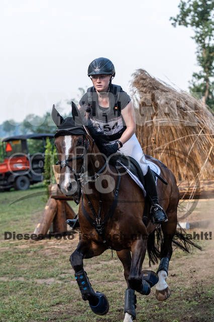 De Peelbergen (August 2020)