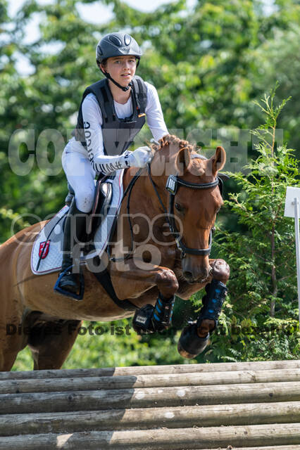 Goldene Schärpe 2021 - Ponys