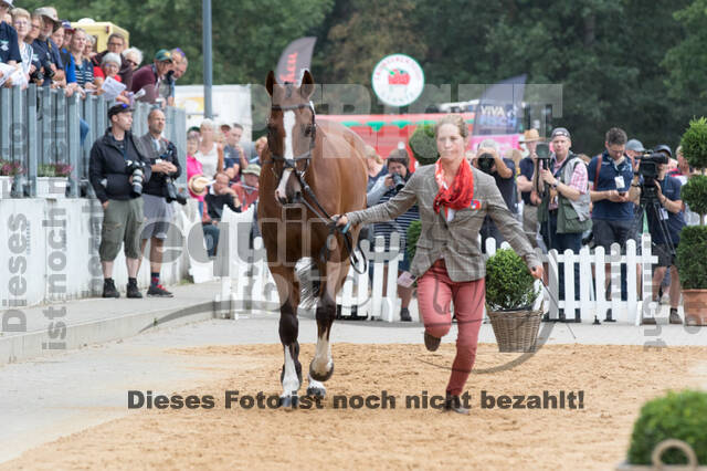 FEI European Championship Eventing 2019