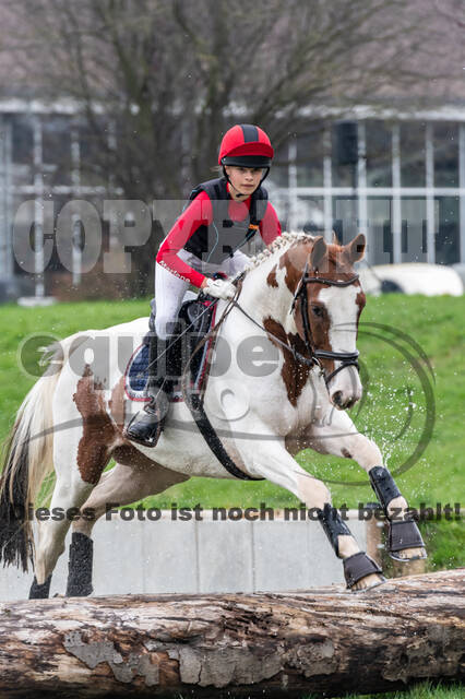 Goldene Schärpe 2020 - Pferde