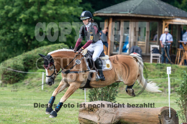 Goldene Schärpe 2021 - Ponys