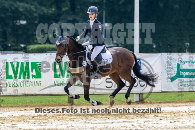 Goldene Schärpe 2021 - Ponys