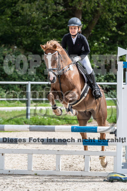 Late-Entry-Vielseitigkeit Langenfeld (06.+07.07.2020)