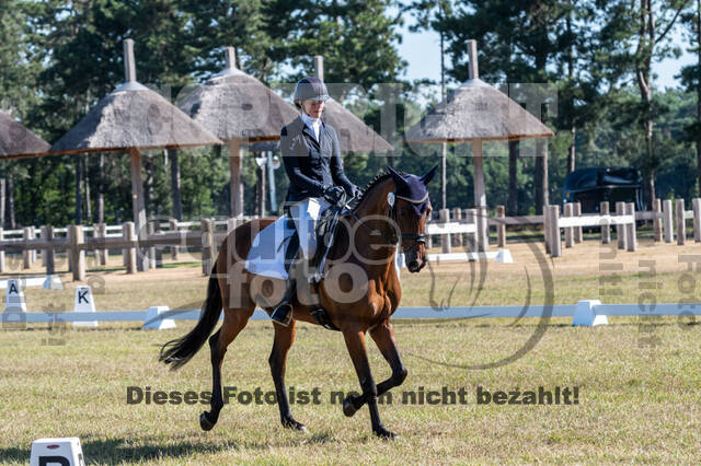 Kronenberg - De Peelbergen (August 2020)