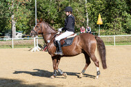 RFV Dinslaken-Hiesfeld (Herbstturnier)