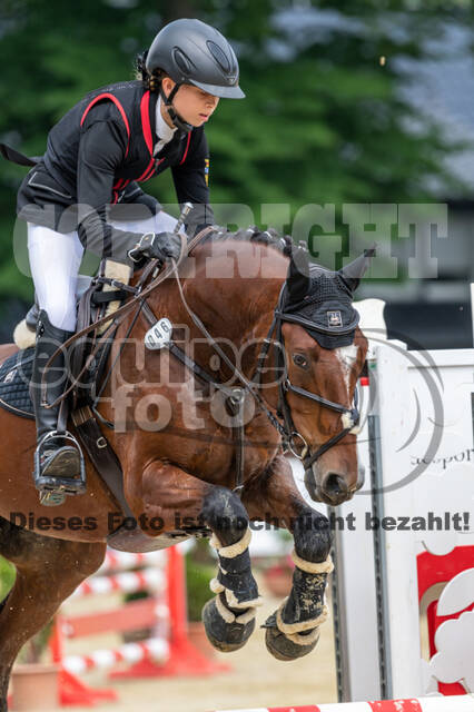 Goldene Schärpe 2021 - Ponys