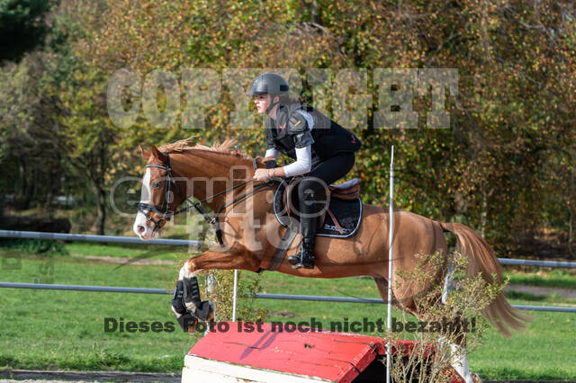 IGV Lehrgang der Sieger der Cups mit Frank Ostholt