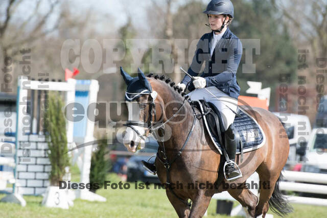 Frühjahrsvielseitigkeit RV Seydlitz Kamp