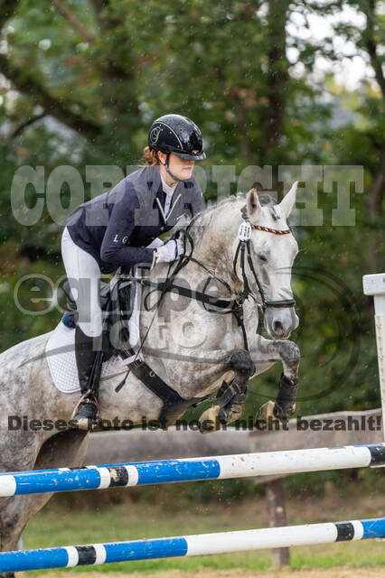 Vielseitigkeit RSV Wesel Obrighoven (26.+27.09.2020)