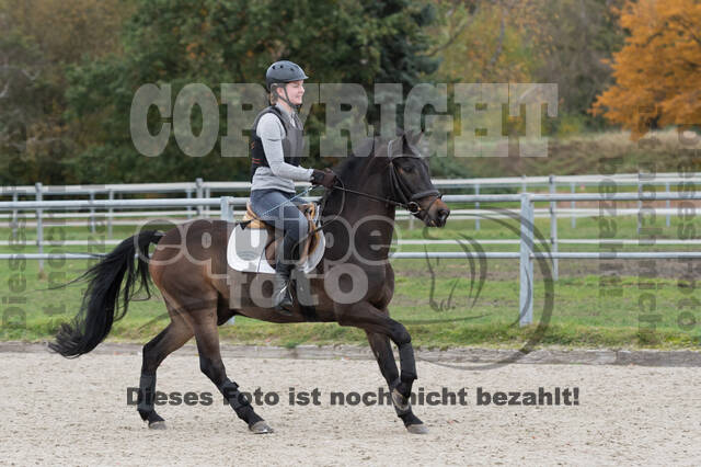 IGV Lehrgang der Sieger der Cups mit Frank Ostholt