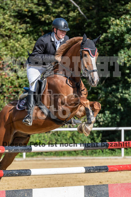 RFV Dinslaken-Hiesfeld (Herbstturnier)