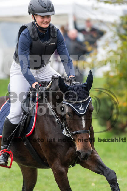 Goldene Schärpe 2020 - Pferde