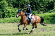 Goldene Schärpe 2021 - Ponys