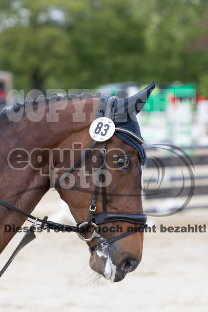 Sterne über Münster 2019 - CCI***S