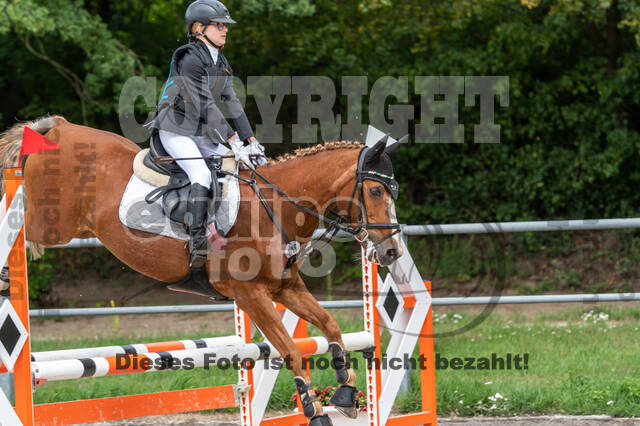 Late-Entry-Vielseitigkeit Langenfeld (06.+07.07.2020)