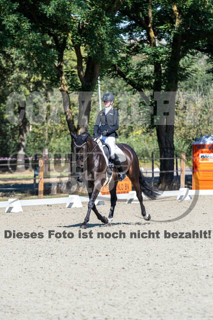 Kronenberg - De Peelbergen (August 2020)