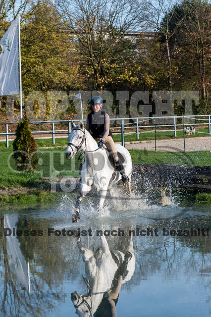 IGV Lehrgang der Sieger der Cups mit Frank Ostholt