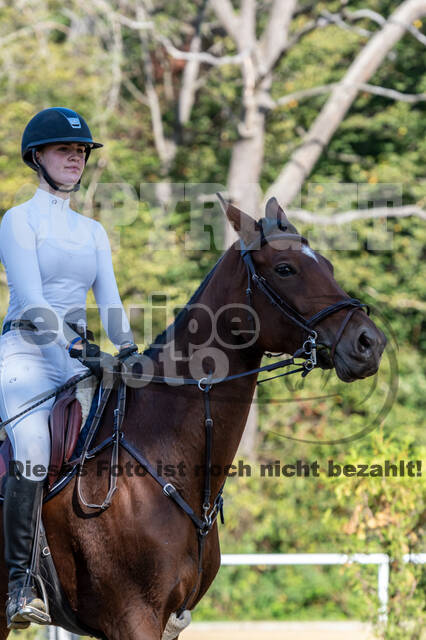 RFV Dinslaken-Hiesfeld (Herbstturnier)