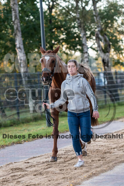 Deutsche Meisterschaft Vielseitigkeit (Luhmühlen)