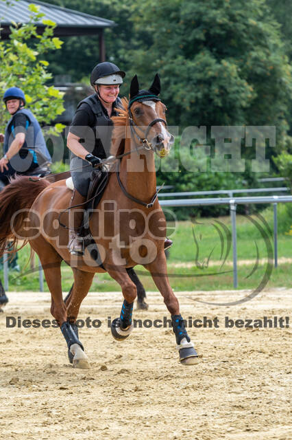 Hunter Geländetraining 10.07.2021 (Sonsbeck)