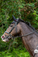 Westerstede Horse Trials 2021