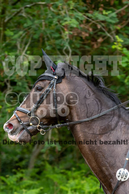 Westerstede Horse Trials 2021