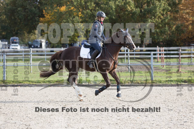 IGV Lehrgang der Sieger der Cups mit Frank Ostholt