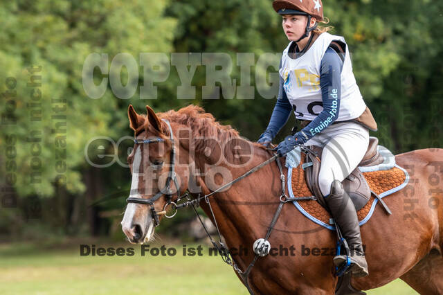 Vielseitigkeit RSV Wesel Obrighoven (26.+27.09.2020)