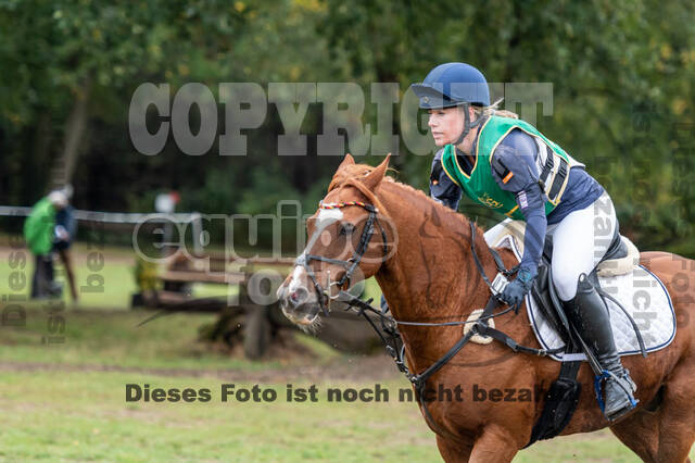 Vielseitigkeit RSV Wesel Obrighoven (26.+27.09.2020)