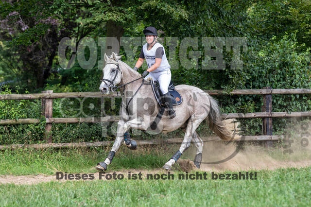 Late-Entry-Vielseitigkeit Gahlen (18.07.2020)