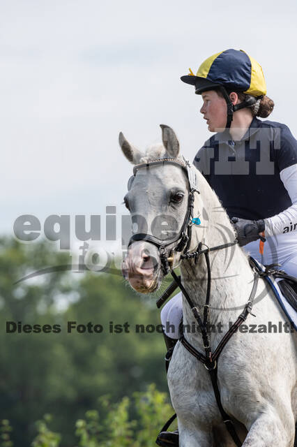 Goldene Schärpe 2021 - Ponys