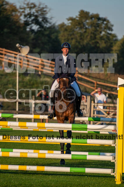 De Peelbergen (August 2020)