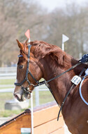 Eventing Langenfeld 2018