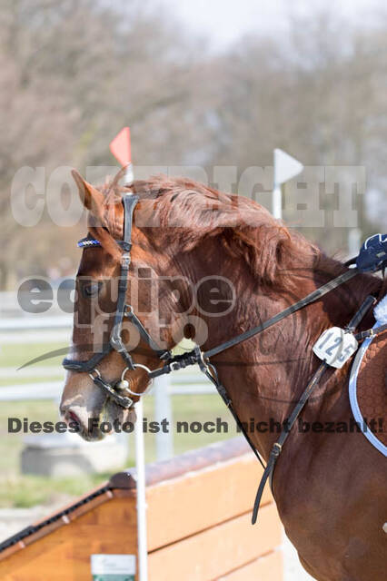 Eventing Langenfeld 2018