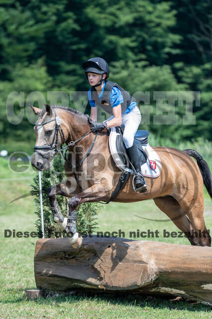 Goldene Schärpe 2021 - Ponys