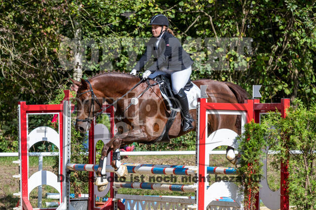RFV Dinslaken-Hiesfeld (Herbstturnier)