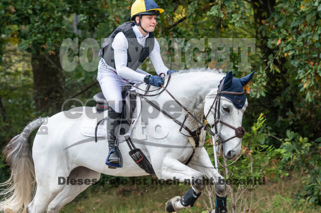 Goldene Schärpe 2020 - Pferde