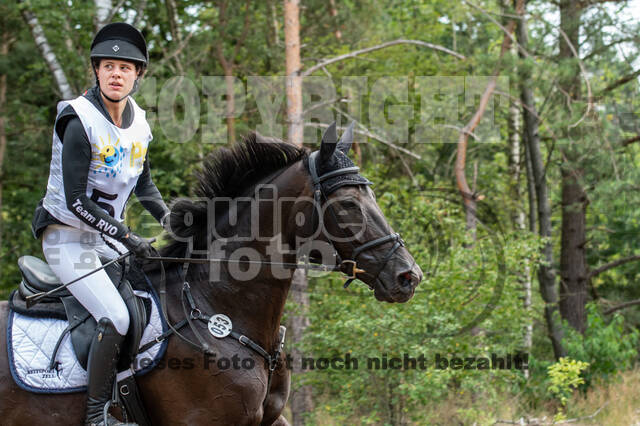 Late-Entry Vielseitigkeit Hamminkeln/Wesel (01.+02.08.2020)
