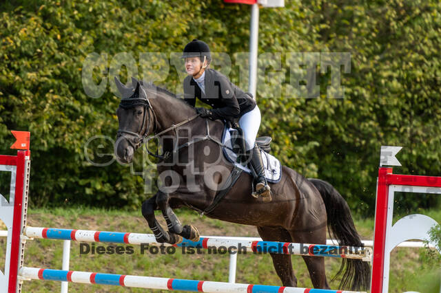RFV Dinslaken-Hiesfeld (Herbstturnier)