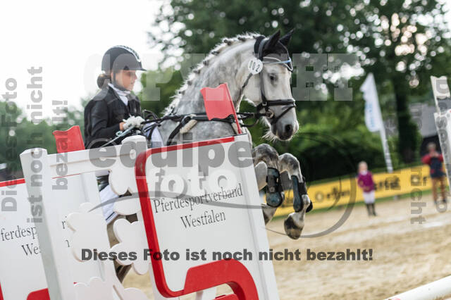 Goldene Schärpe 2021 - Ponys