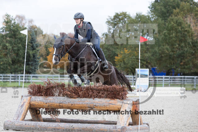 IGV Lehrgang der Sieger der Cups mit Frank Ostholt