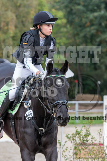 Goldene Schärpe 2020 - Pferde