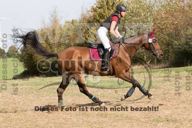 IGV Kleve