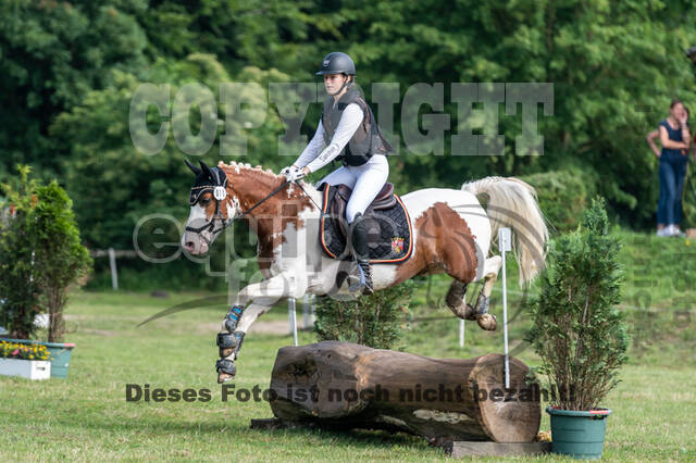 Goldene Schärpe 2021 - Ponys