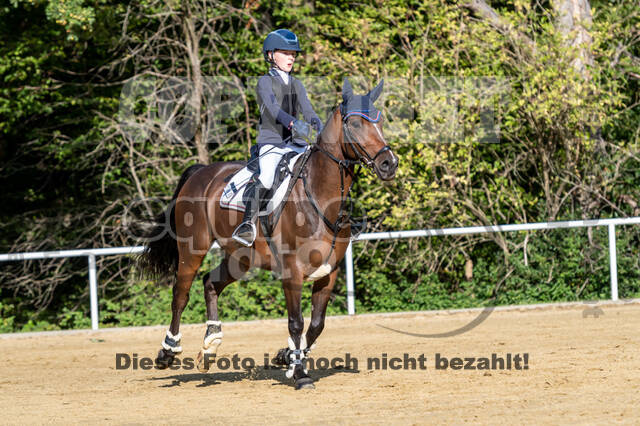 RFV Dinslaken-Hiesfeld (Herbstturnier)
