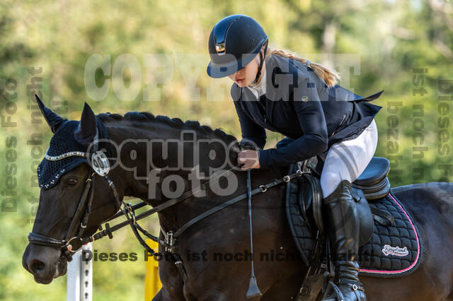 RFV Dinslaken-Hiesfeld (Herbstturnier)