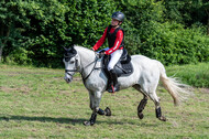 Goldene Schärpe 2021 - Ponys