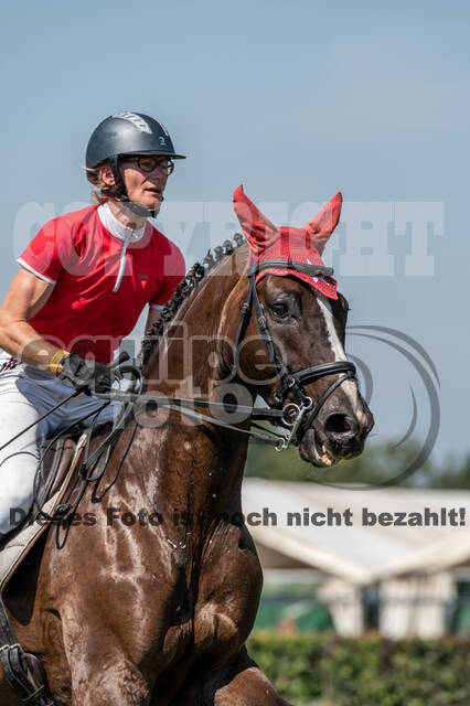 Kronenberg - De Peelbergen (August 2020)